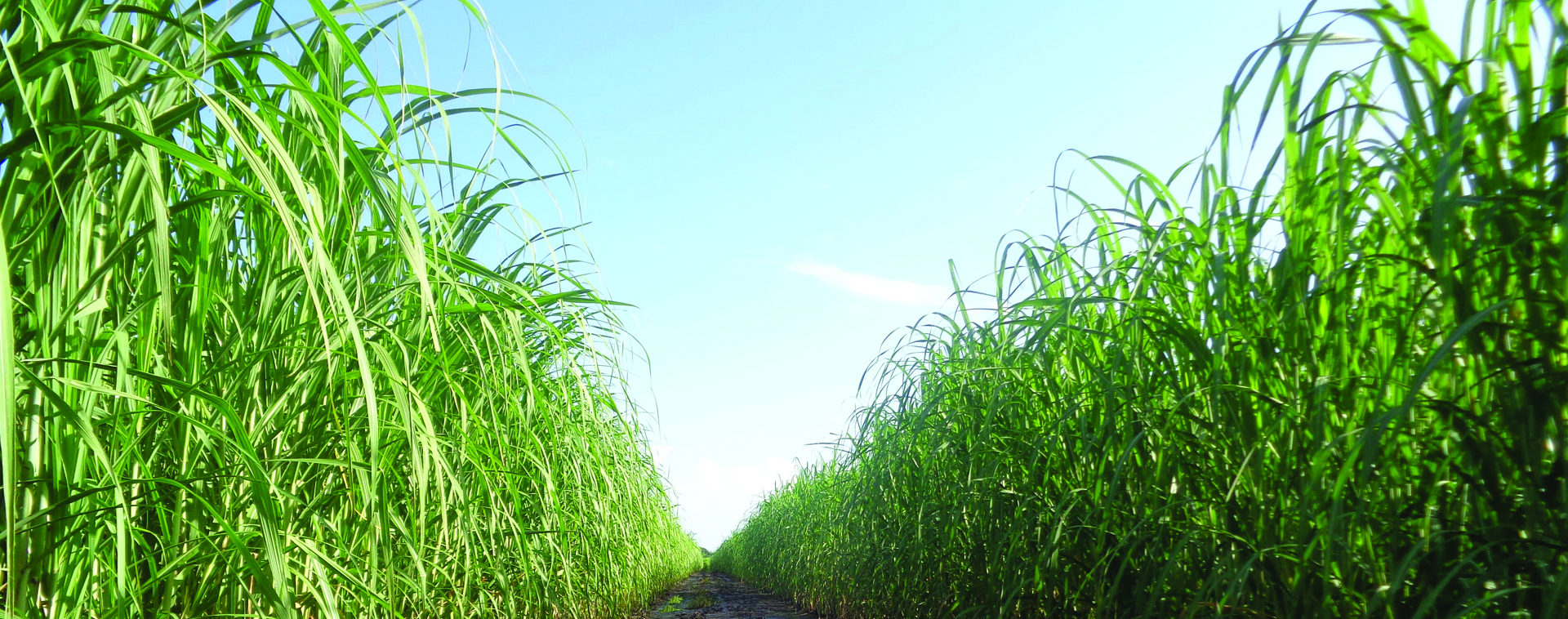 6-Oct-17 (44) (002) (1).JPG