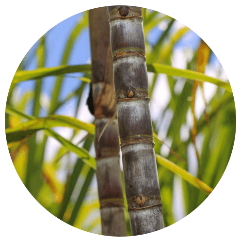 Transparency_and_Reporting_min