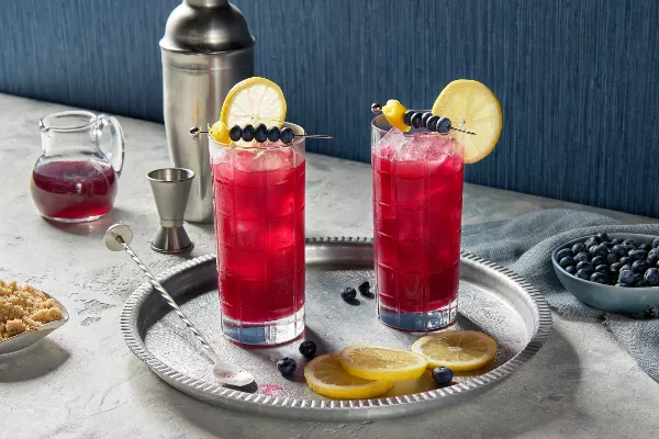 Deux verres highball de fizz au whisky aux bleuets sur glace, garnis de rondelles de citron et de brochettes de bleuets, présentés sur un plateau en argent avec un shaker à cocktails, une mesure, une cuillère à mélange, une carafe de sirop simple, et des bols de sucre brun et de bleuets.